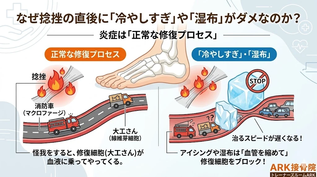 大府市で足関節捻挫の痛みが収まるプロセス