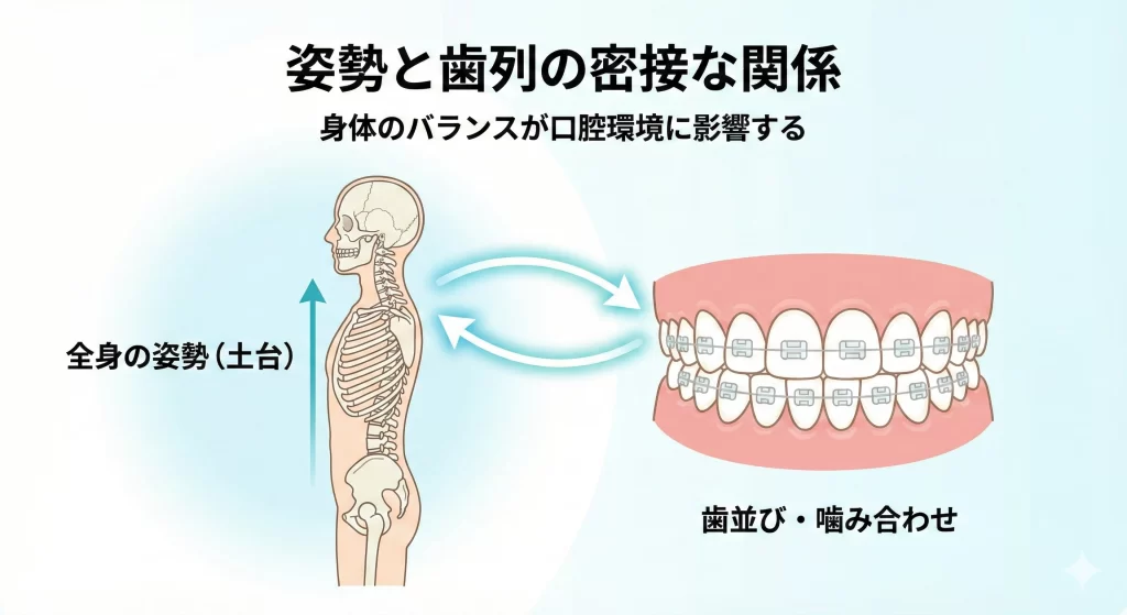 歯列と姿勢な意外な関係と姿勢改善