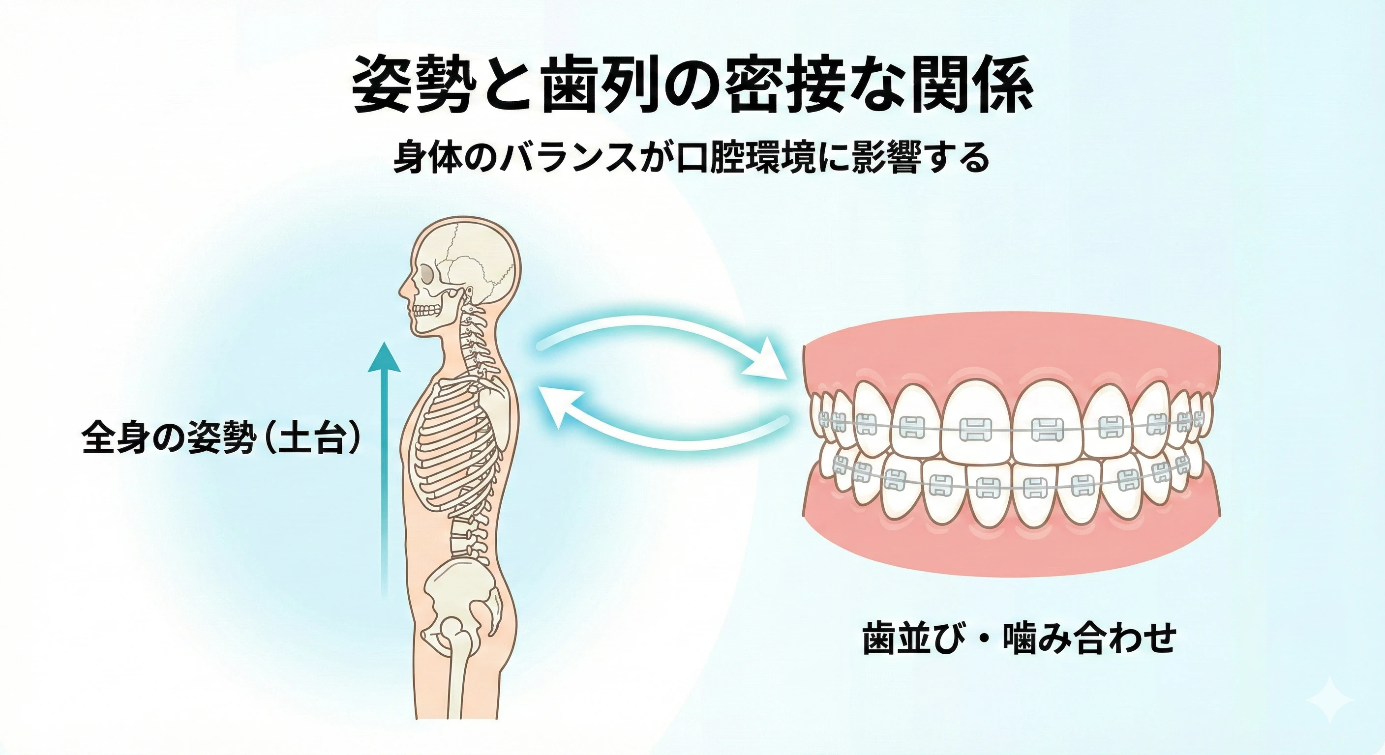 歯列と姿勢な意外な関係と姿勢改善