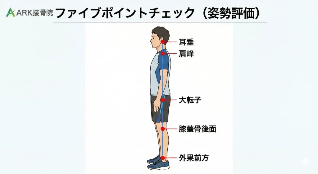 ARK接骨院の姿勢分析「5ポイントチェック」｜耳・肩・骨盤・膝・足首の重心線を確認