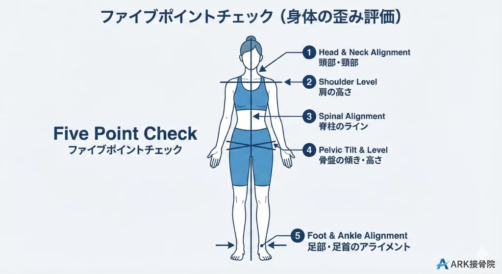 大府市のスポーツ整体が行う姿勢評価