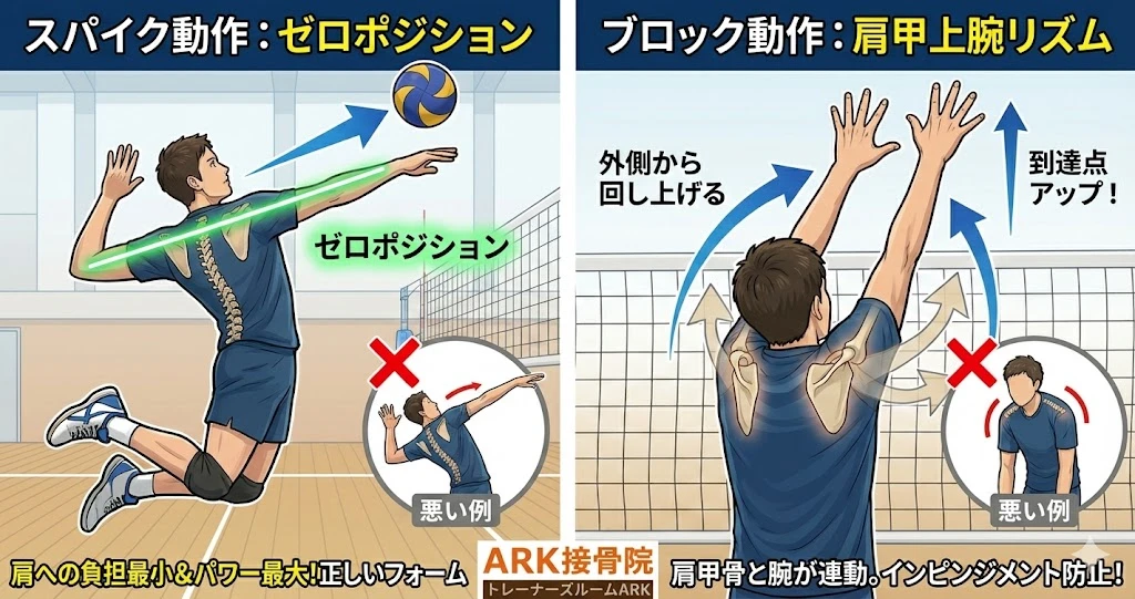 東海市スパイクのゼロポジションとブロックの肩甲上腕リズム指導