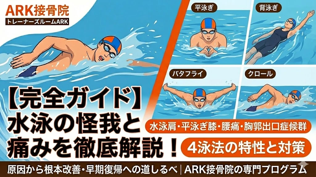 東海市で水泳の体の痛み解説図