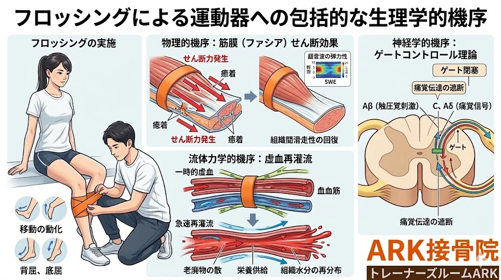 知多市でフロッシングを用いて怪我からの早期復帰