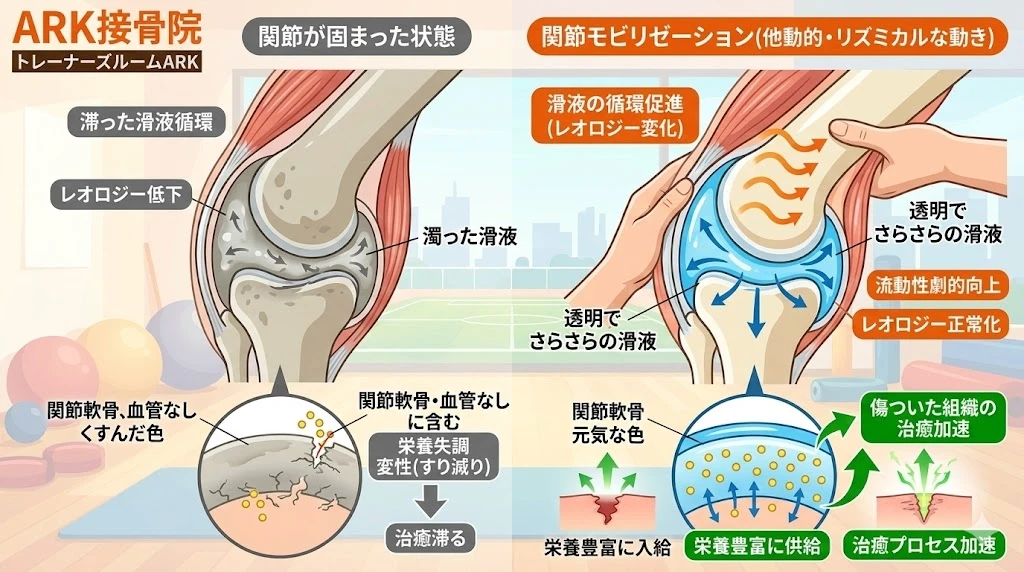 東海市で捻挫の後遺症には関節モビリゼーションで対抗