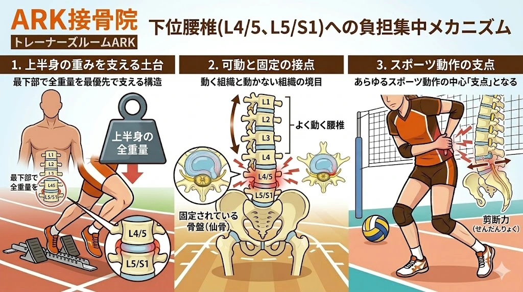 東海市で腰椎椎間板ヘルニアによる腰の痺れ、足の痛み