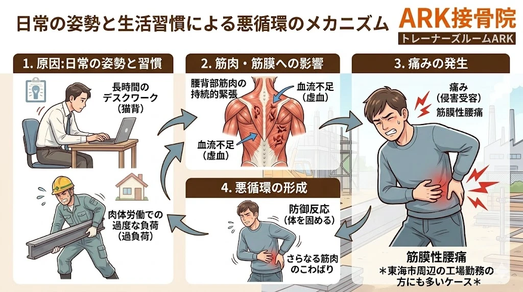 大府市で慢性的な腰痛で苦しむ会社員