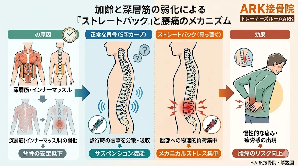 知多市で慢性的に腰痛に苦しむ社会人