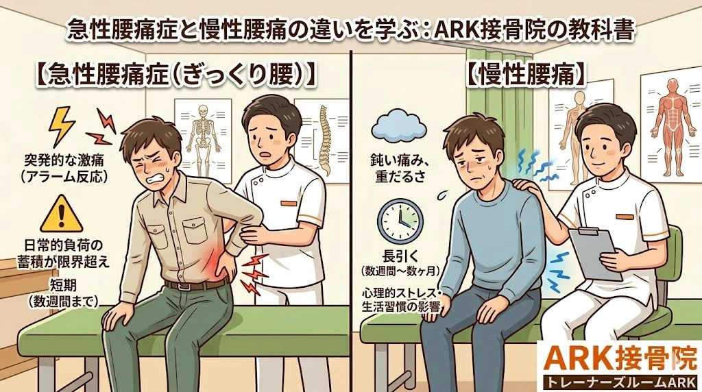 大府市で長引く慢性腰痛とぎっくり腰の違いと原因