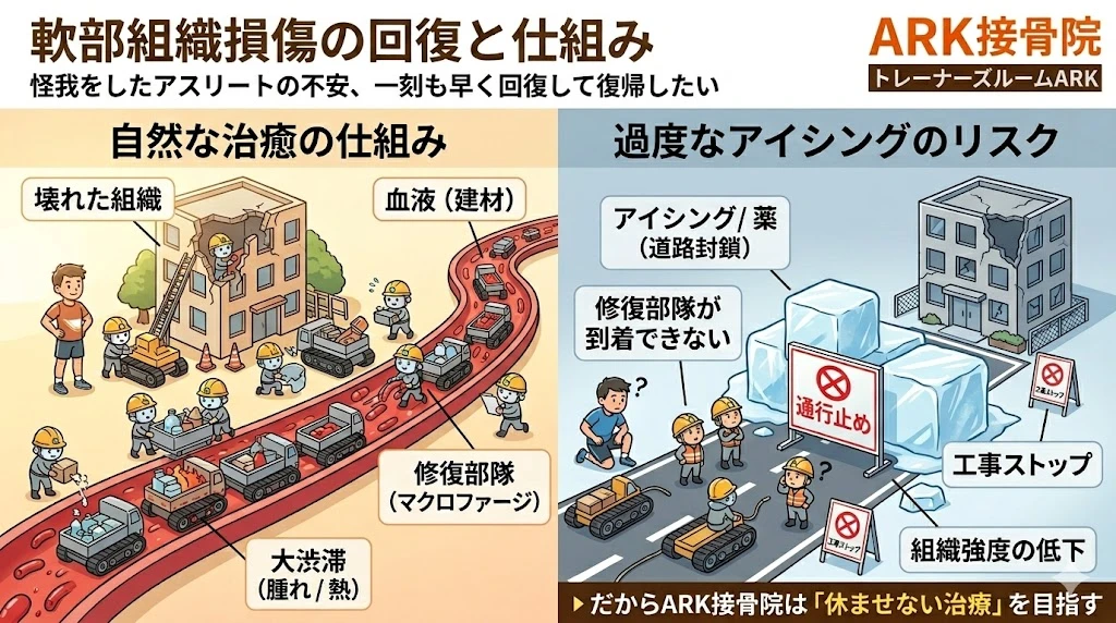 知多市でケガの痛みからの復帰プロトコル