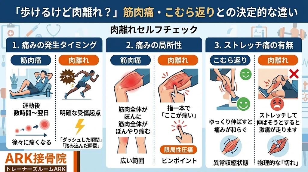 東海市で筋肉痛と肉離れの違いを知る。