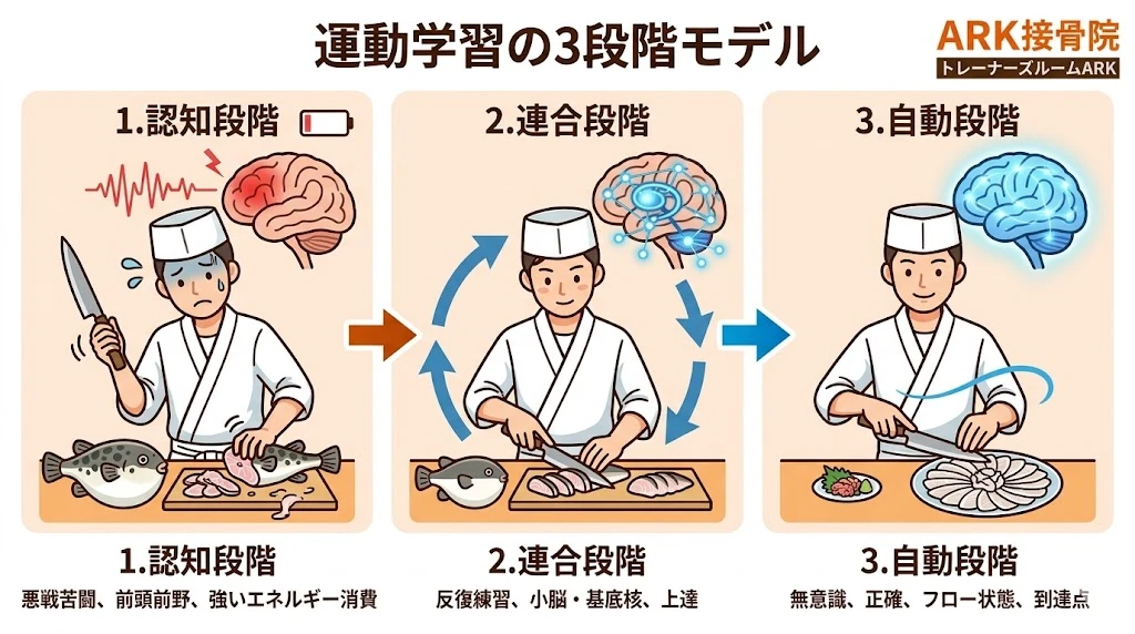 知多市で運動の自動化による技術の熟達