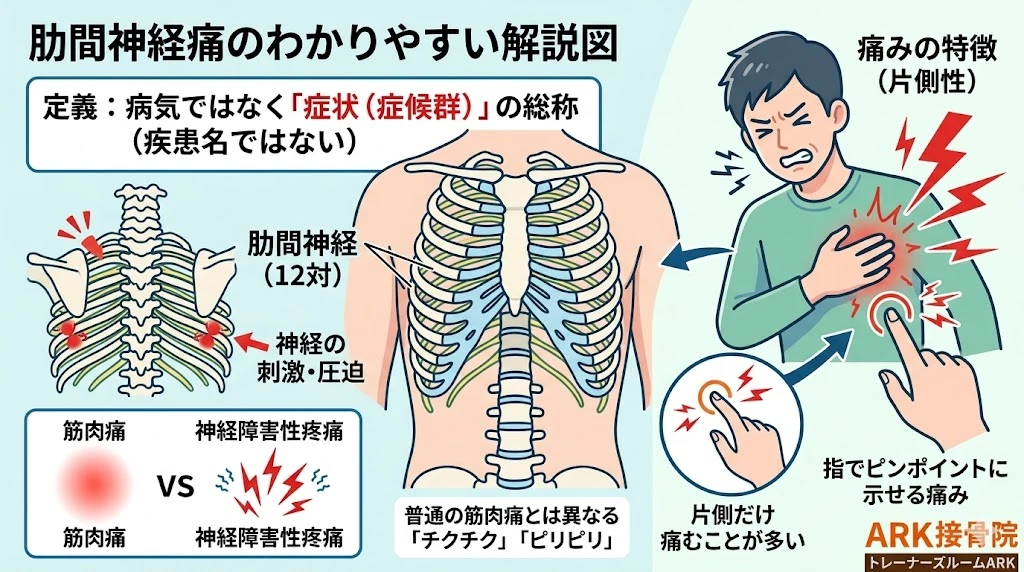 東海市で肩甲骨の裏が痛いのは肋間神経痛しれない