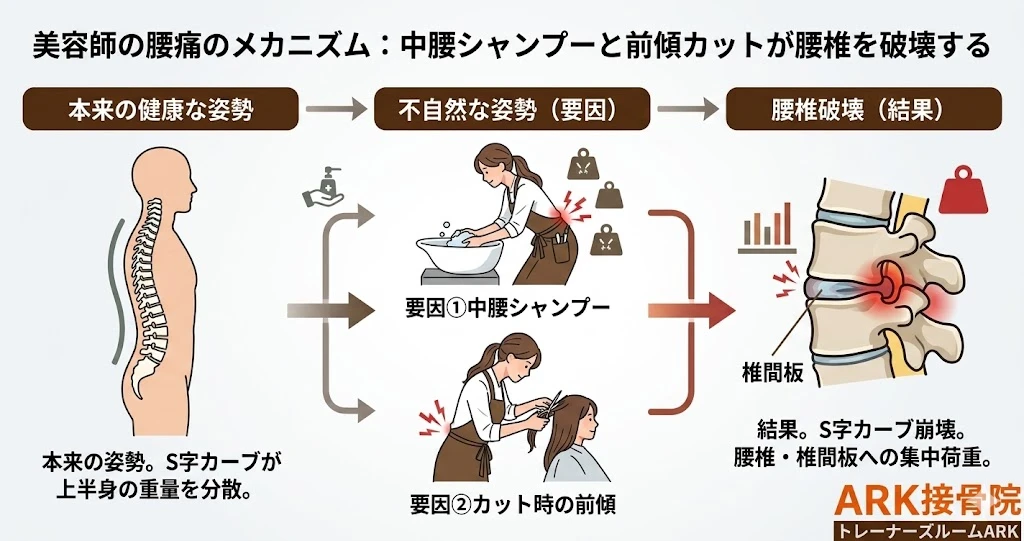 大府市でシャンプーする際腰、が痛い美容師