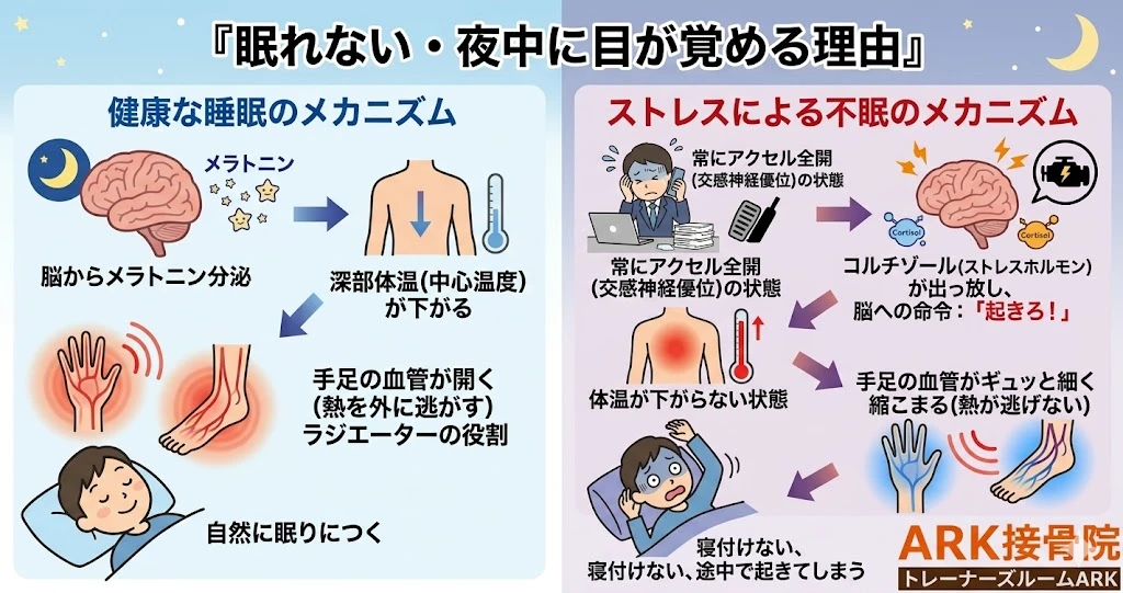 知多市で自律神経の乱れによる不眠症