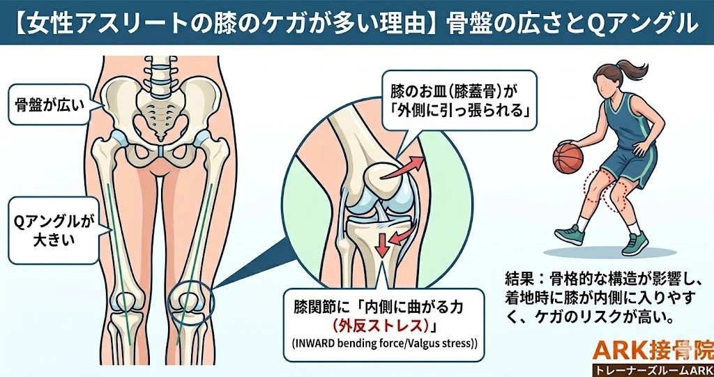 大府市で女性アスリートの悩み