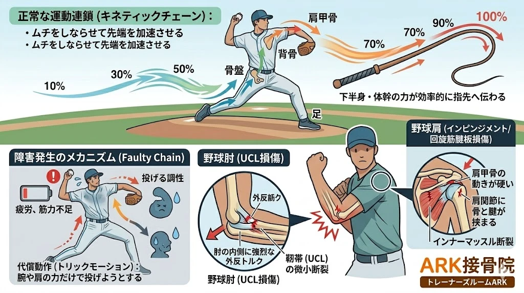 知多市でオーバートレーニングからの回復