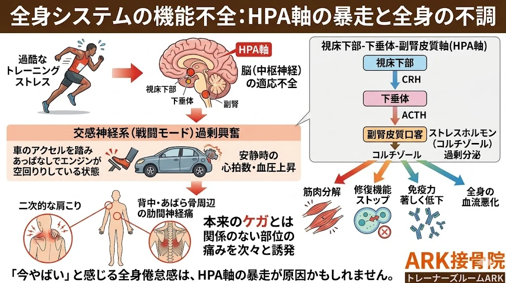 東海市で身体がやばい！と感じる方へ