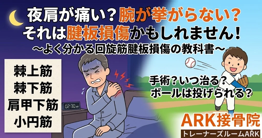 東海市で夜寝ているときに肩が痛いなら腱板損傷かもしれない