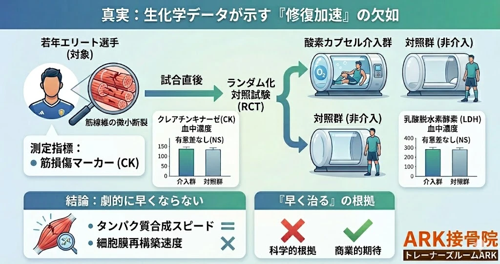 大府市で酸素カプセルでの疲労回復の罠