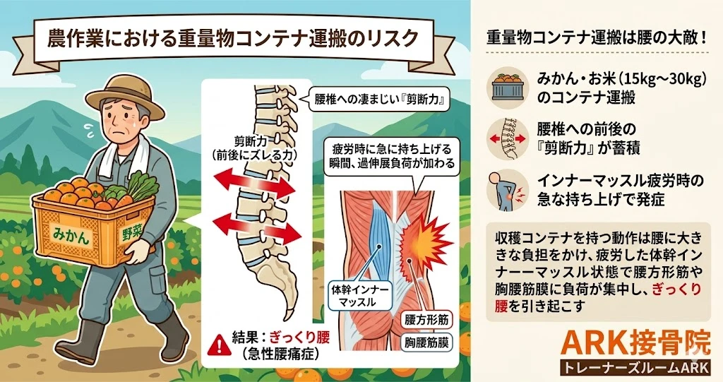 大府市で農家のコンテナ運搬で起こるぎっくり腰