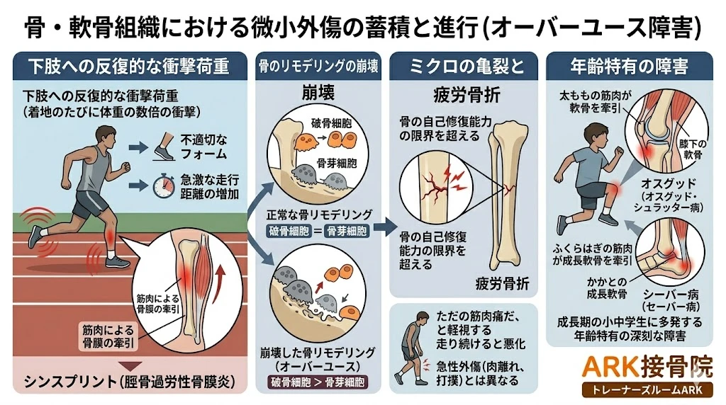 知多市でオーバーユースを直すなら