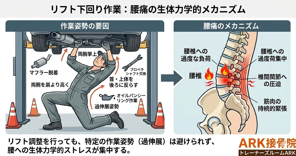 知多市で自動車整備士の多い腰痛メカニズム
