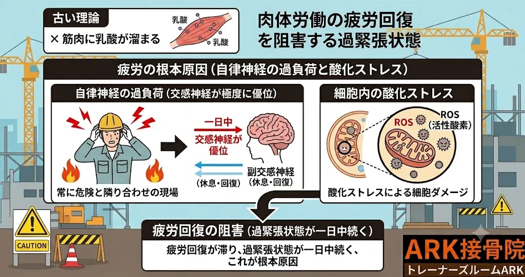 東海市で建設業の肉体疲労と自律神経の不調