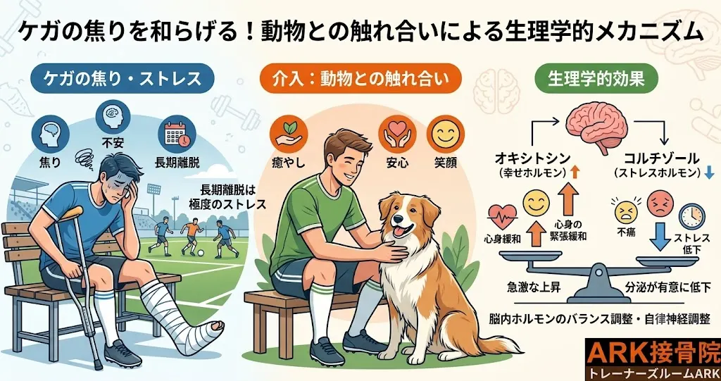 東海市でアニマルセラピーによる不調の回復
