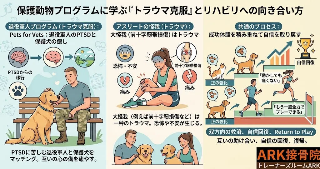 知多市で大けがによるトラウマとの向き合い方