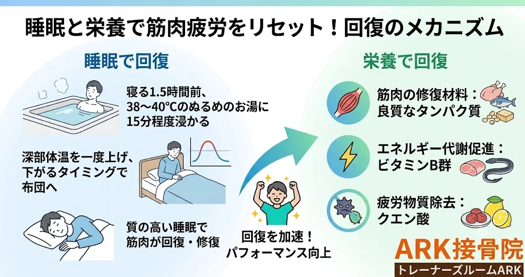 知多市で建設業補人が積極的に食べるべき食べ物