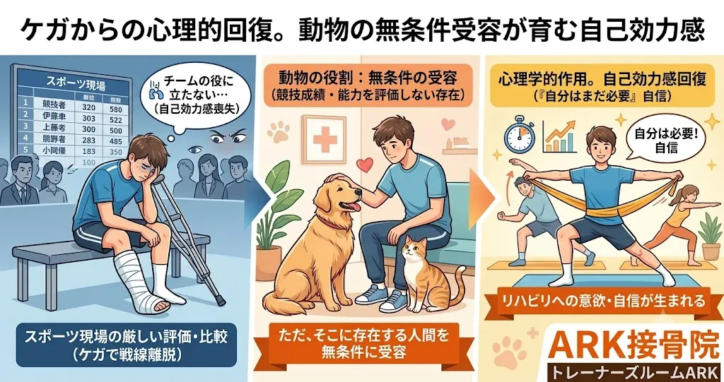 大府市でアニマルセラピーでの不調からの復帰