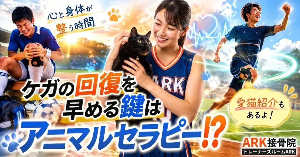 東海市でアニマルセラピーの解説