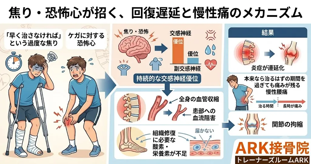 大府市でアスリートの焦りと不安に寄り添うアニマルセラピー