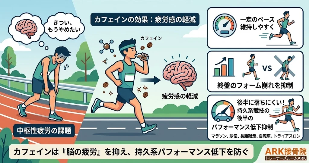 知多市でカフェイン摂取によるパフォーマンス向上