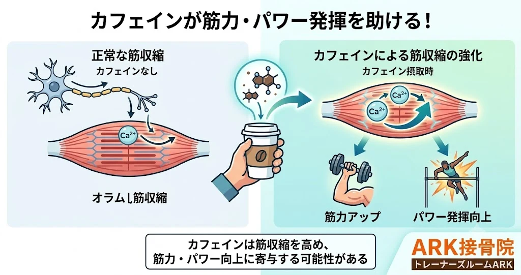 大府市でコーヒー摂取のメリット