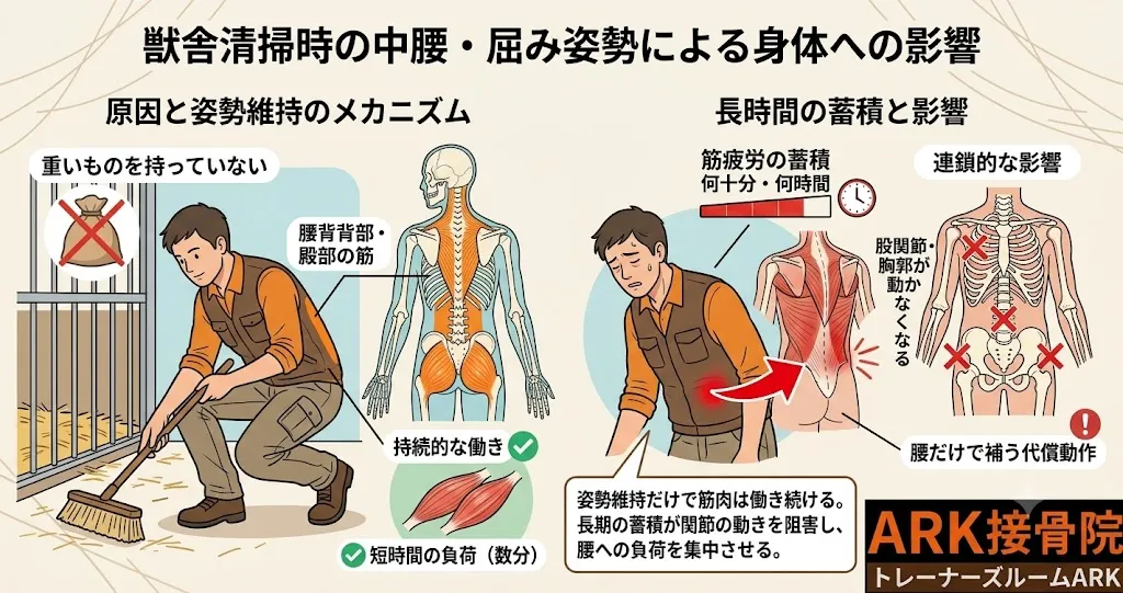 知多市で動物飼育員の姿勢改善と腰痛予防