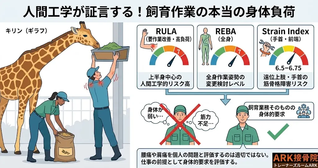 東海市で飼育員の身体的負荷の解説