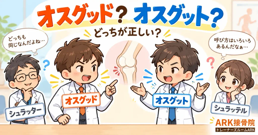 オスグッドとオスグット、シュラッター、シュラッテルという4つの表記揺れと膝の解剖図を並べ、どっちが正しい名称かを解説するアイキャッチ画像