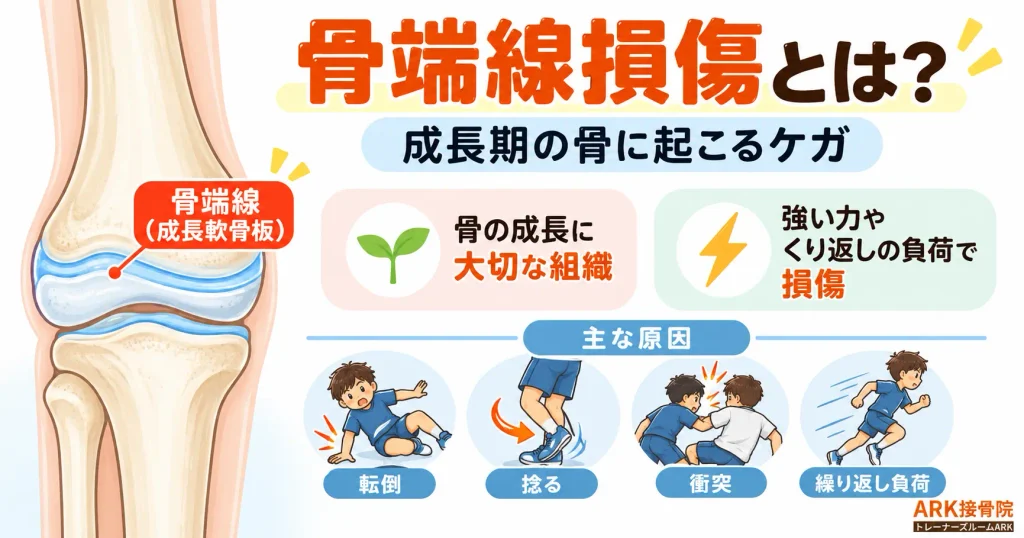 骨端線損傷の症状と機序