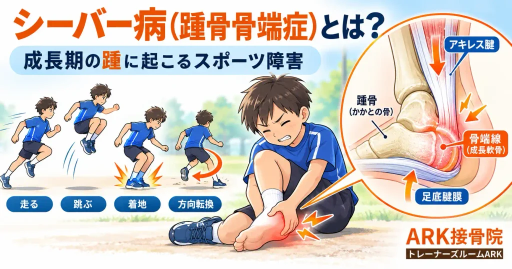 シーバー病の症状とは？